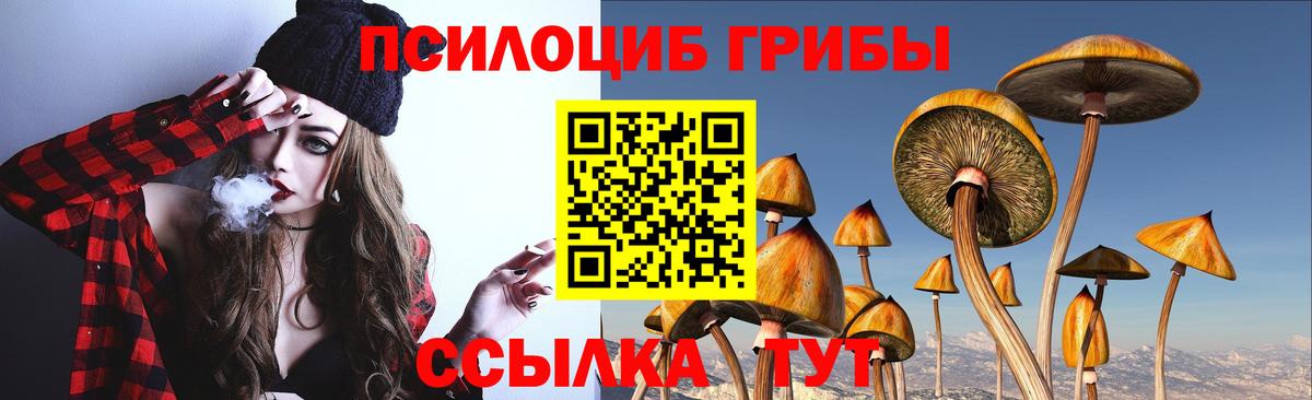 Галлюциногенные грибы мухоморы  Псилоцибиновые грибы мицелий  Вход с VPN  Орехово-Зуево 