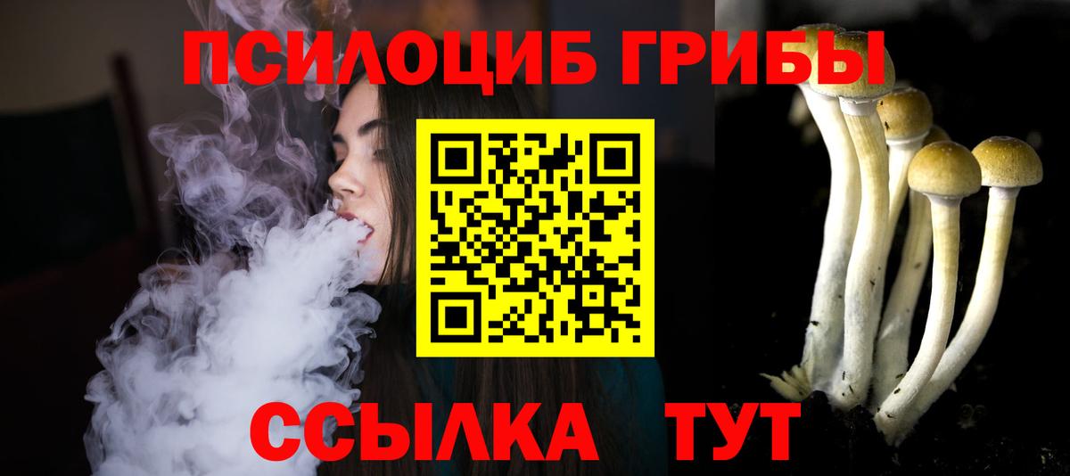 Галлюциногенные грибы Psilocybine cubensis Орехово-Зуево
